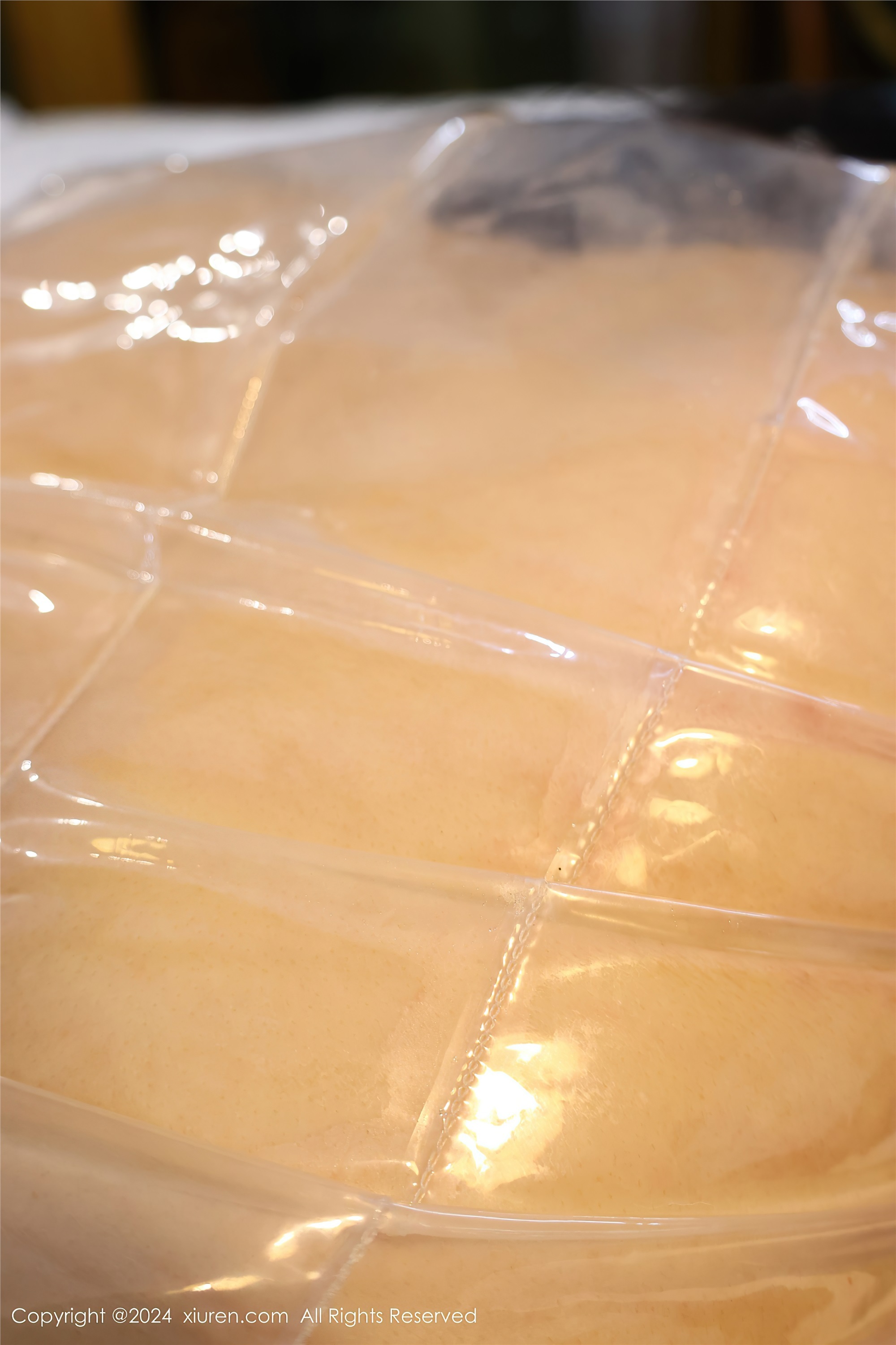 Xiuren秀人网 2024.05.10 NO.8517 小薯条nienie